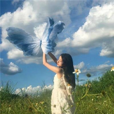 手握八百纵横四海